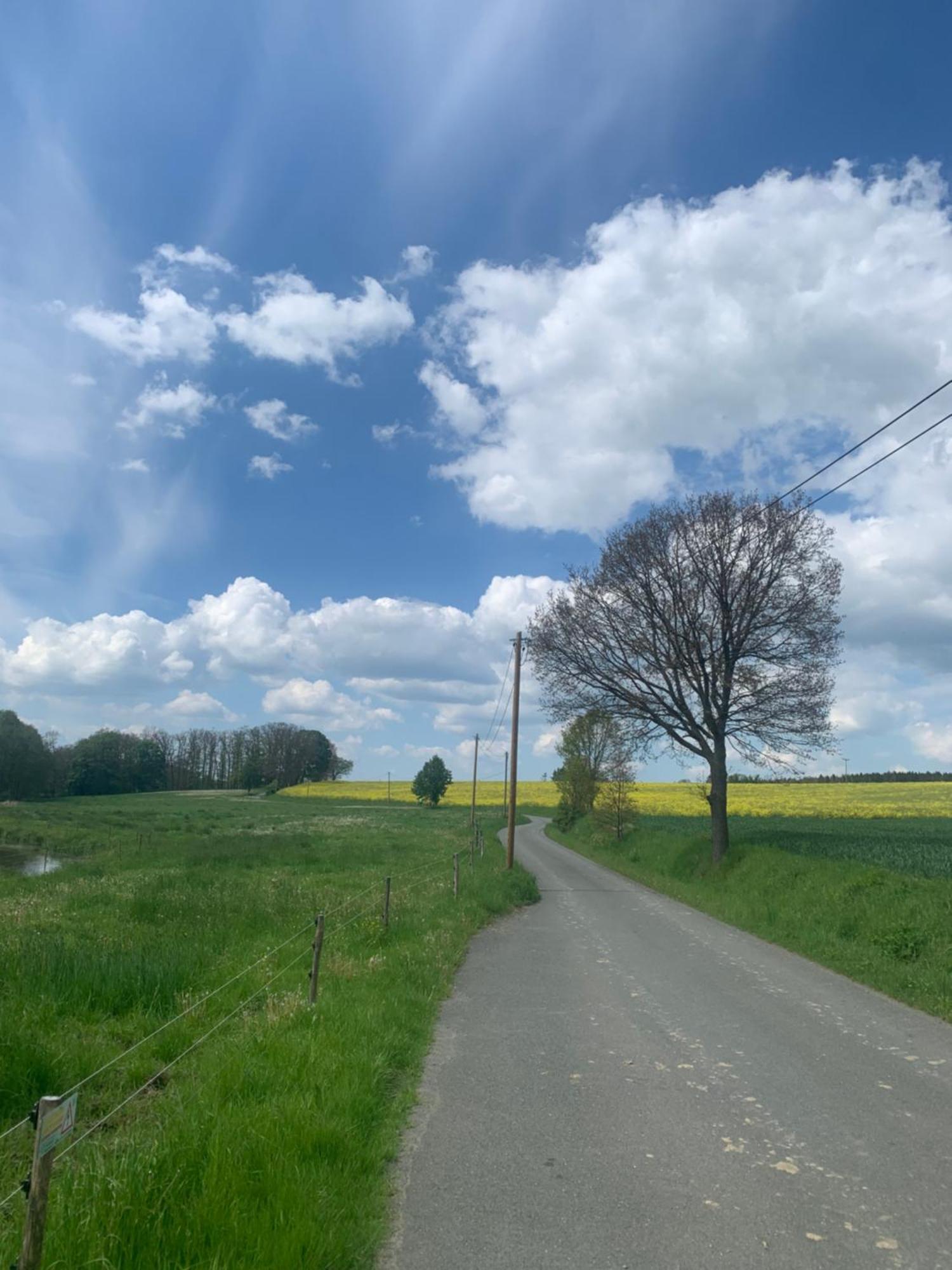 Gemuetliche Ferienwohnung In Idyllischer Lage-Auf Dem Land Dittersdorf Buitenkant foto